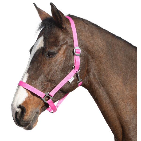 Loesdau webhalster pink | Shetty