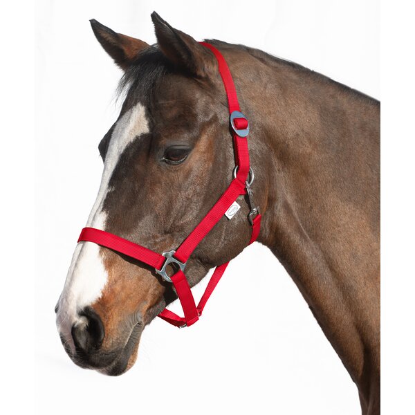 Loesdau webhalster red | Shetty