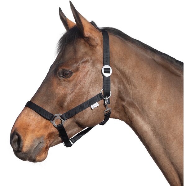 Loesdau webhalster black | Shetty