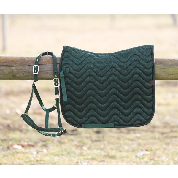 Horse-friends halster Ancona dark green | Shetty