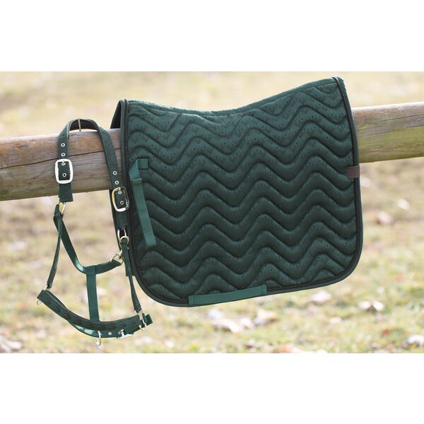 Horse-friends halster Ancona dark green | Shetty