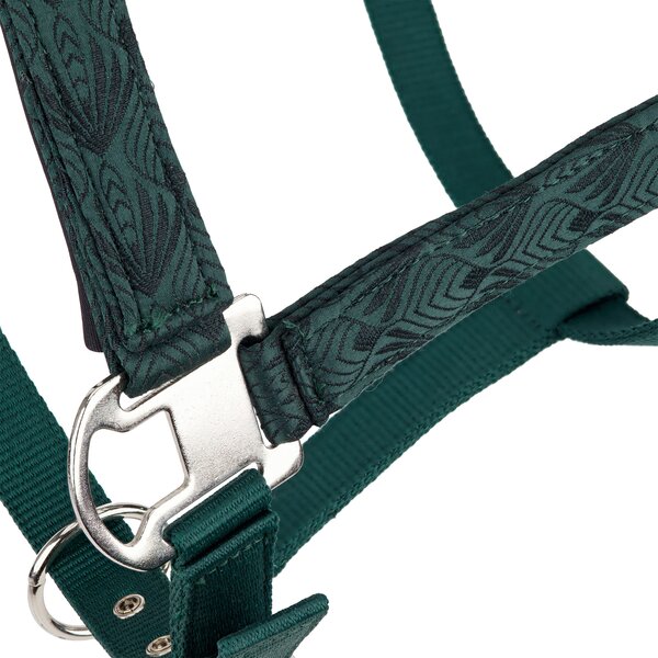 Horse-friends halster Ancona dark green | Shetty