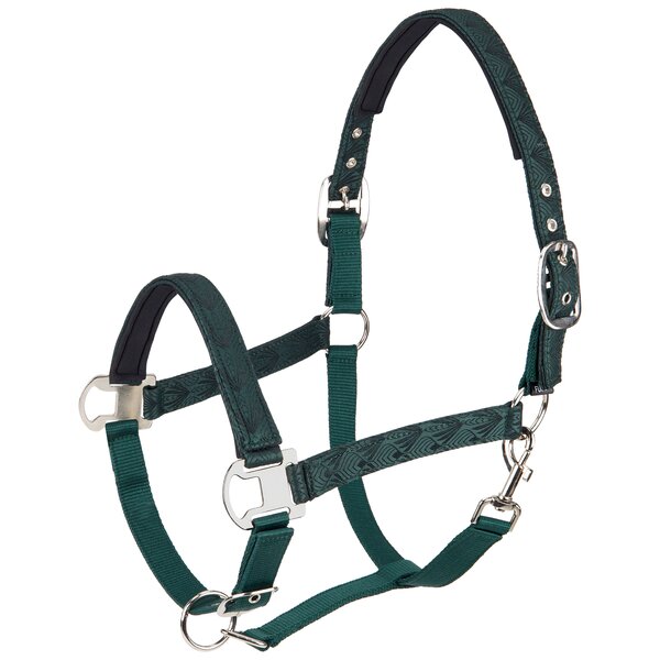 Horse-friends halster Ancona dark green | Shetty