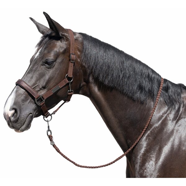 Cheval de Luxe Halfter Limoges chocolate | Warmblut