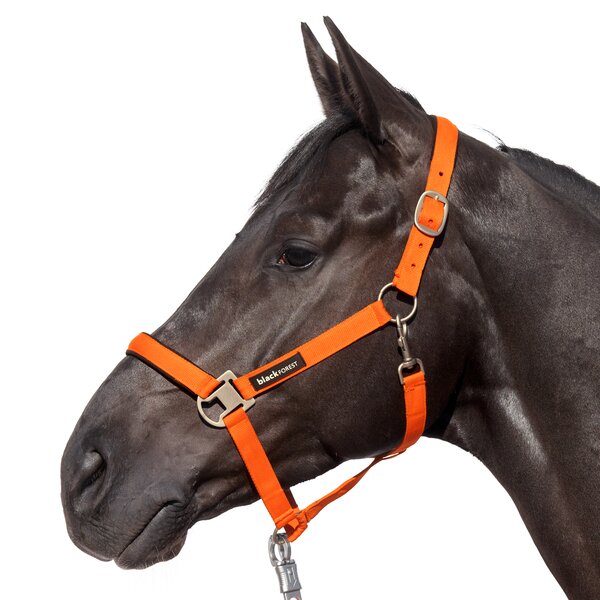 black forest Halfter red orange | Warmblut