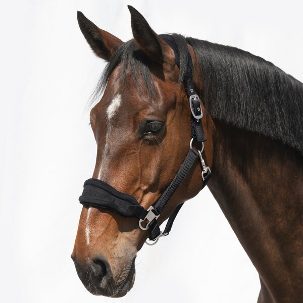 Cheval de Luxe Halfter Bayonne schwarz | Warmblut