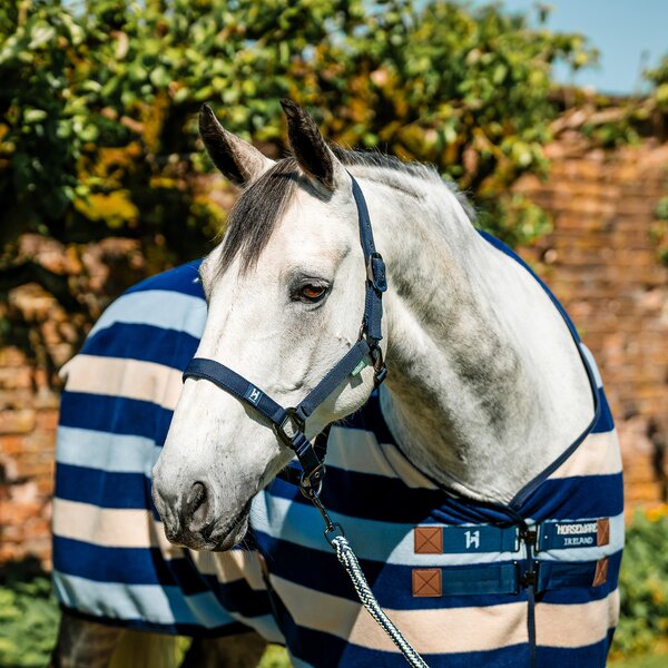 Horseware halster en halstouw Newmarket witney/navy | Pony