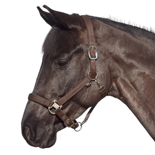 black forest halster 