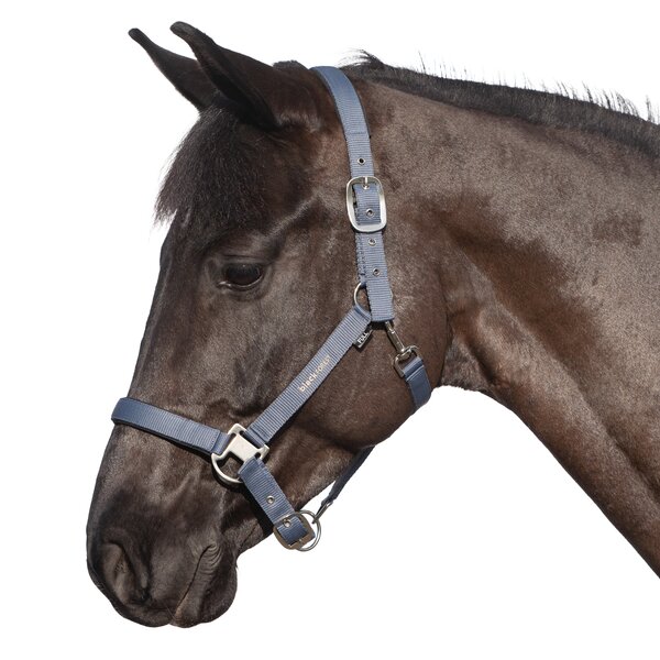 black forest halster 