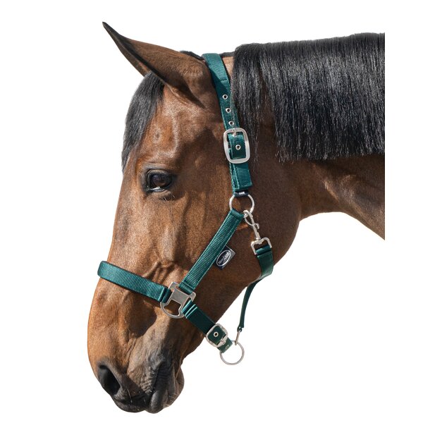 Horse-friends Halster Basic 
