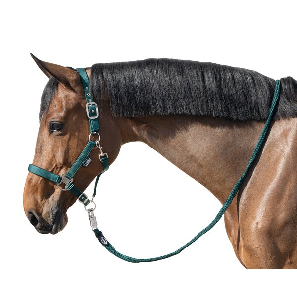 Horse-friends Halster Basic 