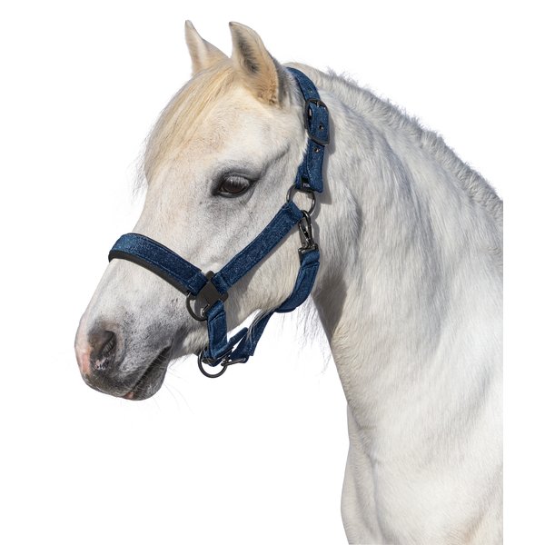 Horse-friends Halfter Athina navy | Vollblut