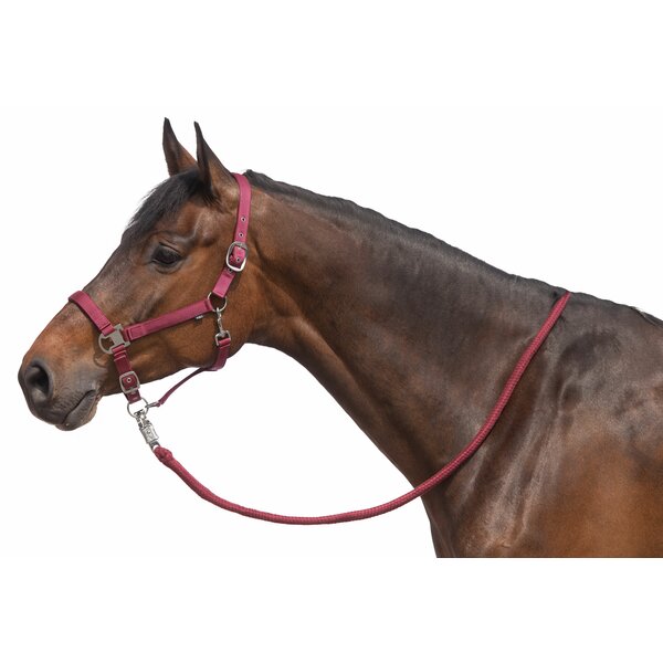 IRISh INNOVATION Halfter-Set Terni burgundy | Pony