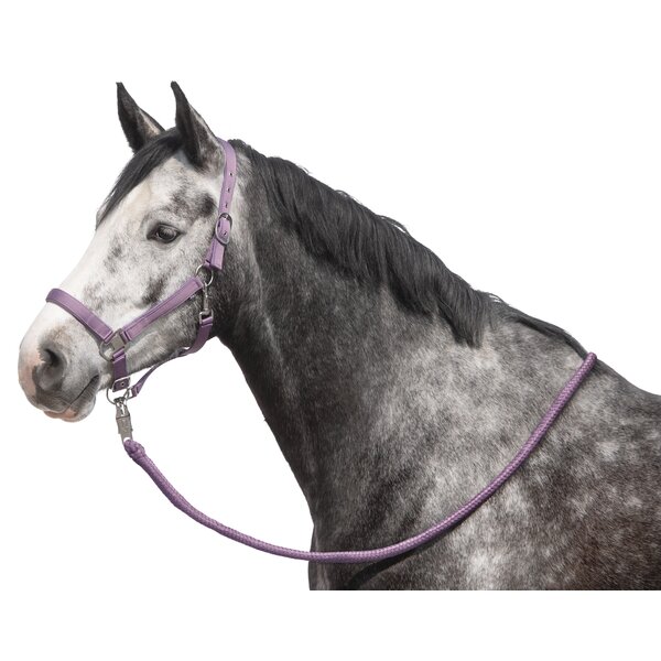IRISh INNOVATION Halfter-Set Terni darkberry | Pony
