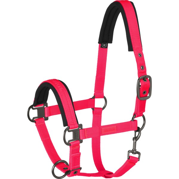 ESKADRON REFLEXX Halfter Pinbuckle pink XWarmblut Halfter