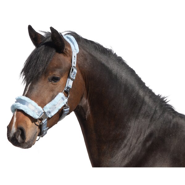 RIDE now Halfter Cairns lightblue | Pony