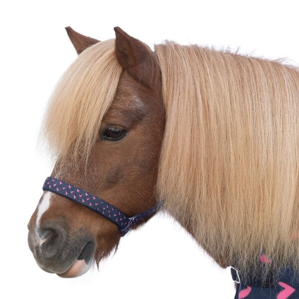 Horse-friends Halfter-Set Melun navy/deep pink | Pony
