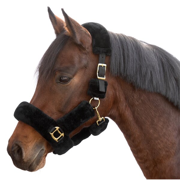 Horse-friends pluche-halster Almada black | Pony