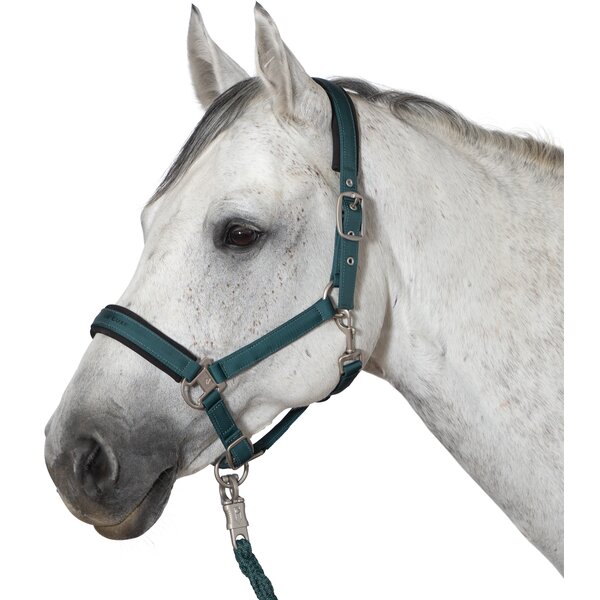 Cheval de Luxe Halfter deep emerald | Pony