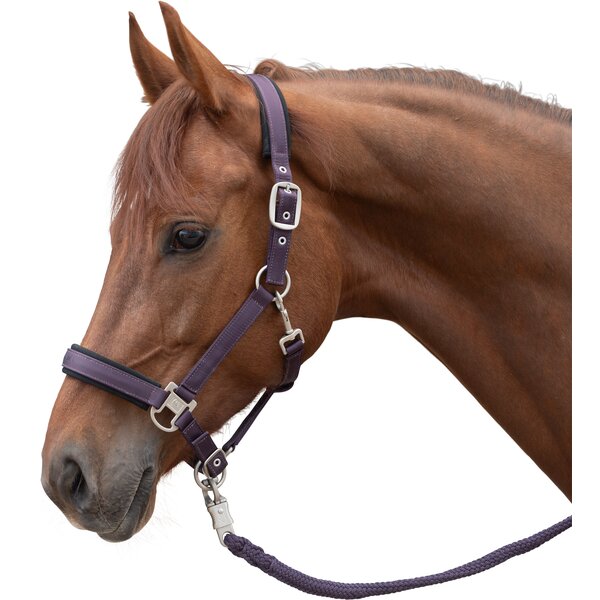 Cheval de Luxe Halfter velvet plum | Warmblut