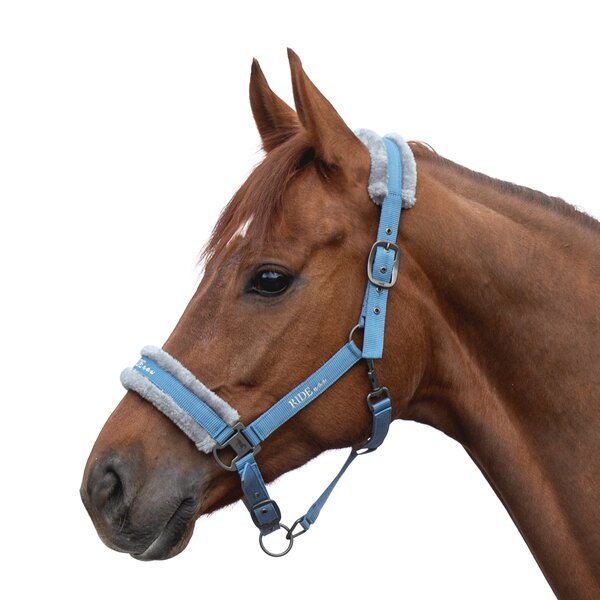 RIDE now Halfter FauxFur skyblue | Warmblut