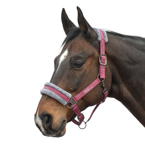 RIDE now Halfter FauxFur violet rose | Warmblut