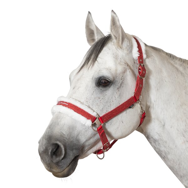 Horse-friends kersthalster 