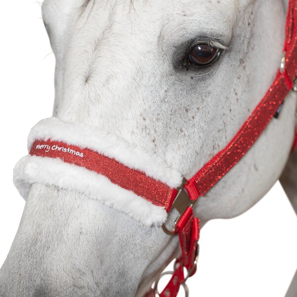 Horse-friends kersthalster 