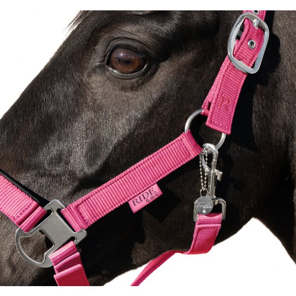 RIDE now halster 