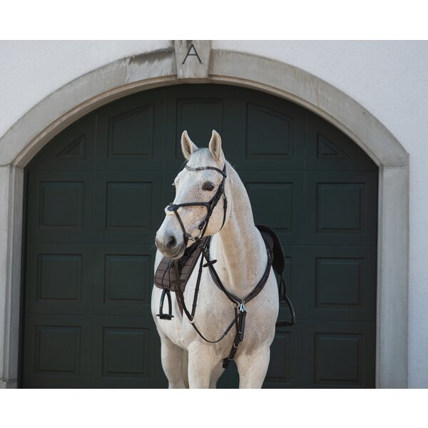 Cheval de Luxe hoofdstel Miami 