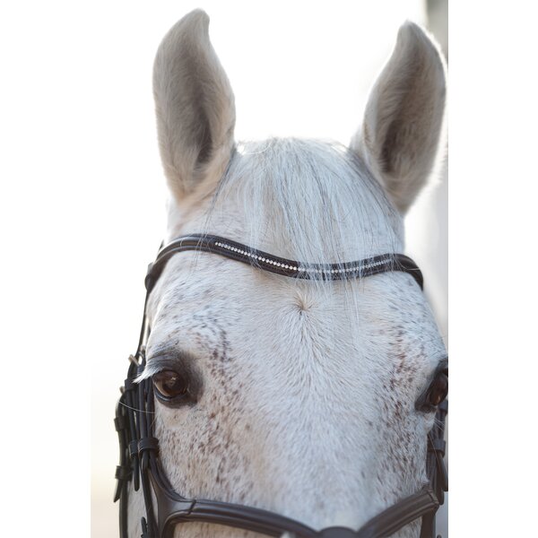 Cheval de Luxe hoofdstel Miami 