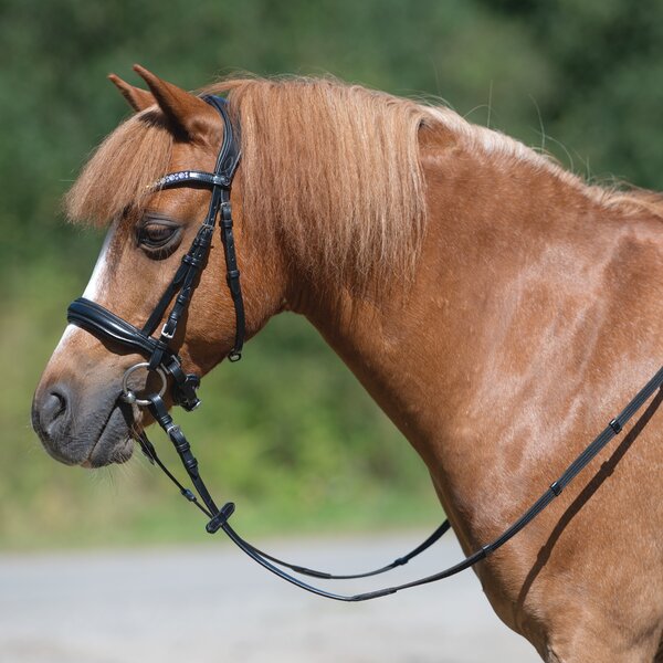 MONTIVUM Pony- und Shetty-Trensenzaum Managua 