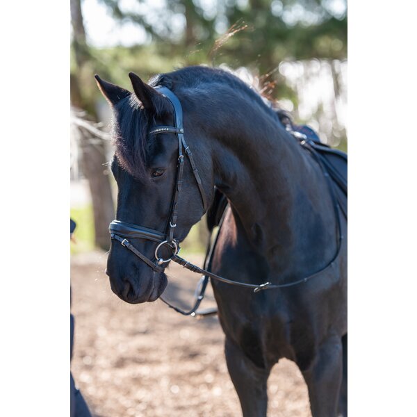 MONTIVUM hoofdstel Messina black | Warmbloed