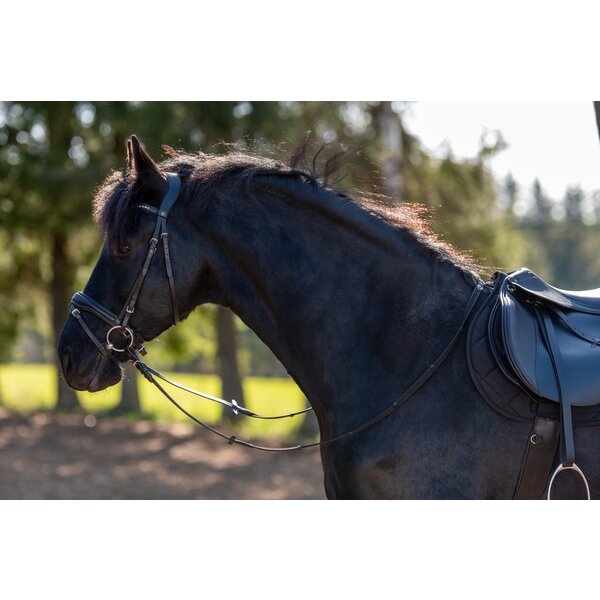 MONTIVUM hoofdstel Messina black | Warmbloed