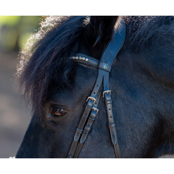 MONTIVUM hoofdstel Messina black | Warmbloed