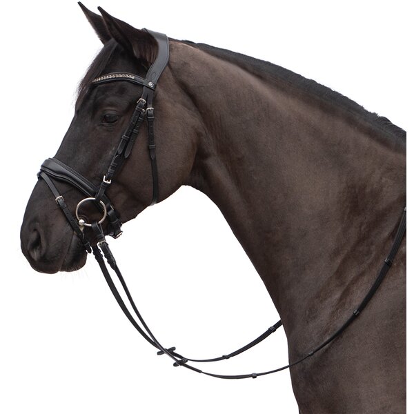 MONTIVUM hoofdstel Messina black | Warmbloed