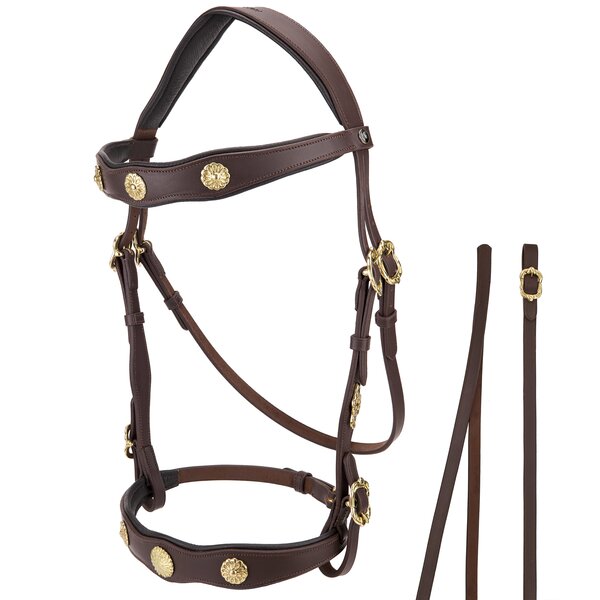 MONTIVUM hoofdstel Jerez de la Frontera brown | Warmbloed