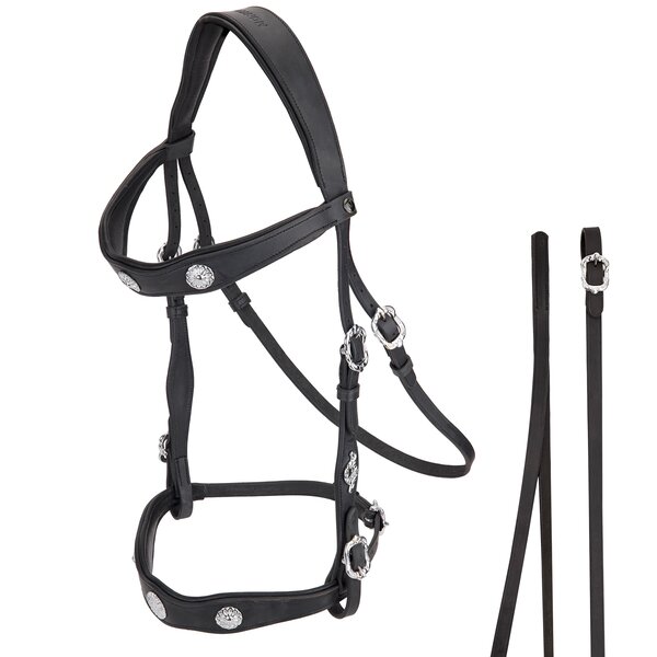 MONTIVUM hoofdstel Jerez de la Frontera black | Warmbloed