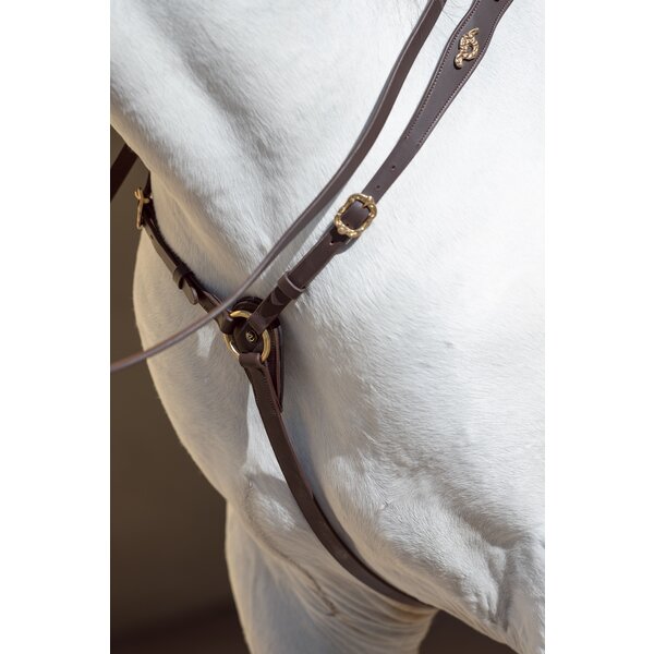 MONTIVUM voortuig Jerez de la Frontera brown | Warmbloed