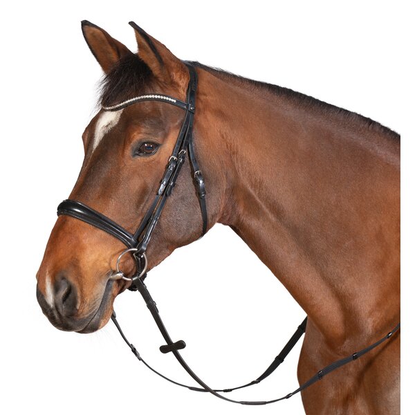 MONTIVUM Trenshoofdstel Bradford 