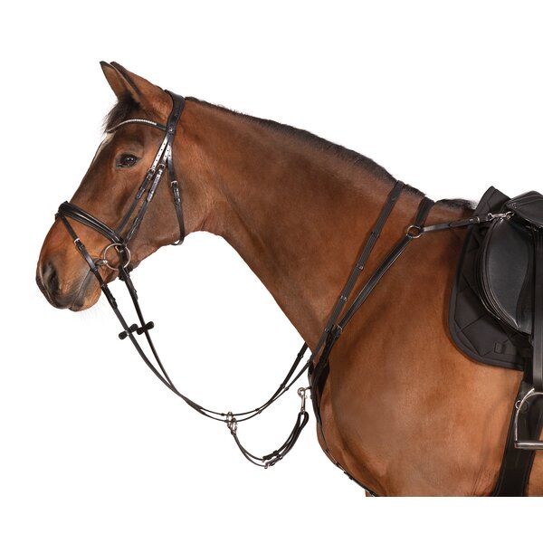 MONTIVUM Borsttuig Bradford 