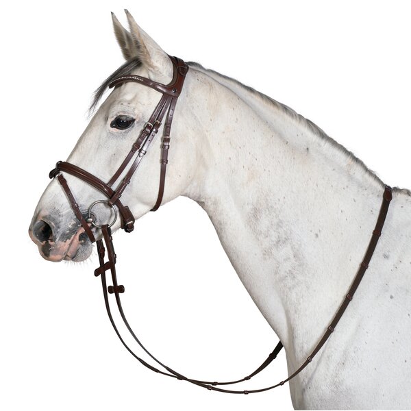 MONTIVUM Trenshoofdstel Napoli 