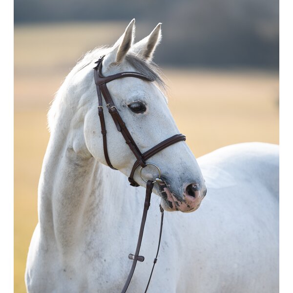 MONTIVUM Trenshoofdstel Napoli 