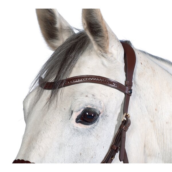 MONTIVUM Vrijetijdstrenshoofdstel Kansas 