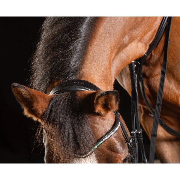 Cheval de Luxe trens hoofdstel Dijon 