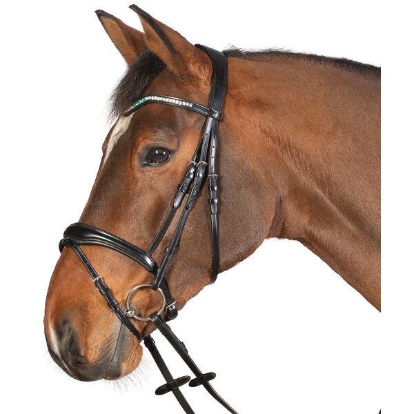 Cheval de Luxe trens hoofdstel Dijon 