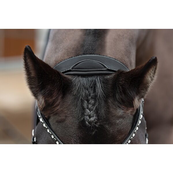 DÖBERT trenshoofdstel Düsseldorf Premium black | Warmbloed