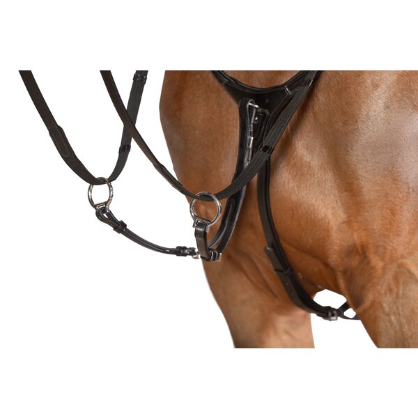 Cheval de Luxe borsttuig Dijon 