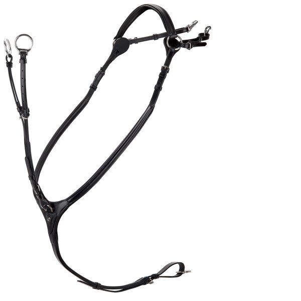 Cheval de Luxe borsttuig Dijon 