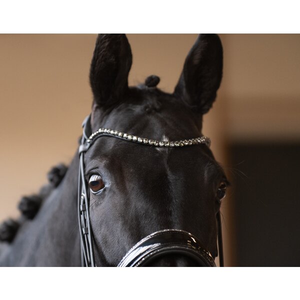 DÖBERT kandarenhoofdstel Bonn black | Warmbloed